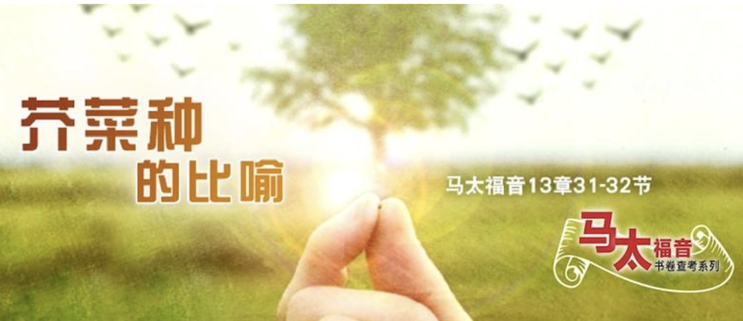 Read more about the article 2022-11-30（周三）——太 16：5–12 ——防備信心的敵人